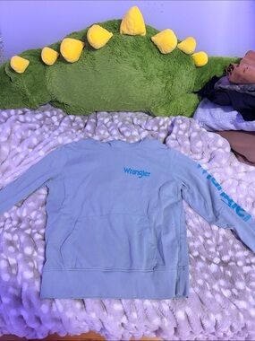 Wrangler Light green Logo Pullover Crew